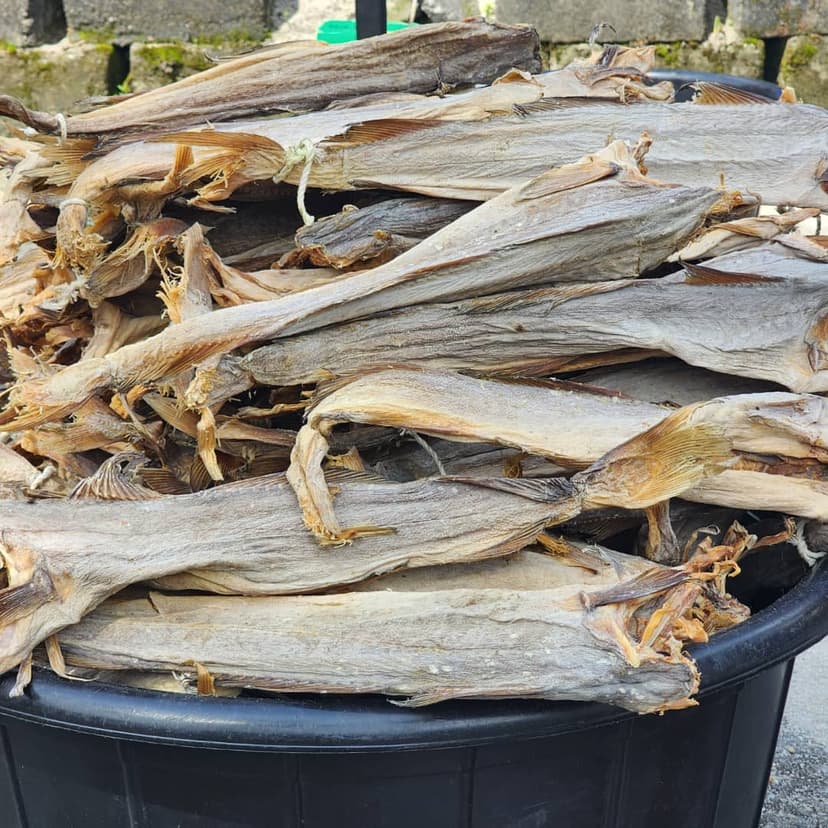 Stock Fish Cod